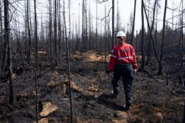 A forest protection officer walks through an area of burned forest in Quebec, Canada, on 5 July 2023.