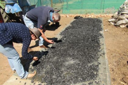 People check semi-processed biochar at a farm near Windhoek, Namibia.