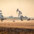 Pair of working pump jacks on ranch land with cattle, Canada.