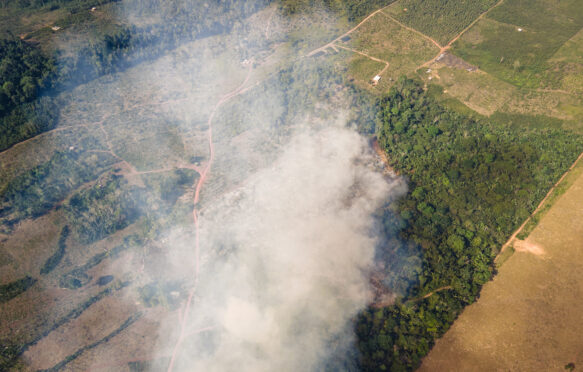 A drone shot of a fire in the Amazon forest.