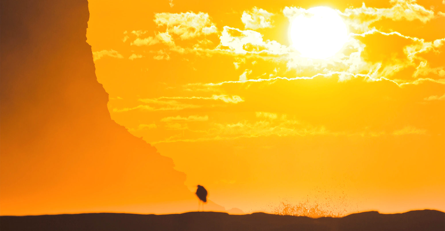 Sunrise over cliffs off Garie Beach in Royal National park, Australia. Credit: Taras Vyshnya / Alamy Stock Photo. JJBFMF