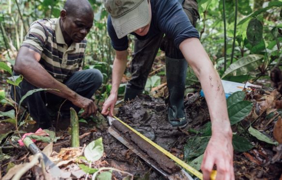 Taking a core sample in the Congo peatlands in the DRC. Credit: Greenpeace/Kevin McElvaney.