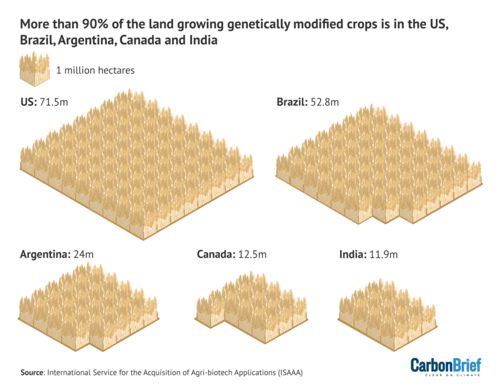 More than 90% of the land growing in genetically modified crops is in the US, Brazil, Argentina, Canada and India