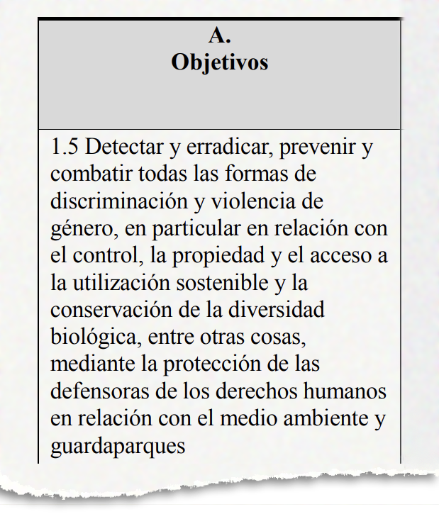 La violencia de género contra las mujeres que conservan la naturaleza aparece en uno de los objetivos del "plan de acción sobre género", adoptado en diciembre de 2022 en la Cumbre de Biodiversidad de la ONU COP15.