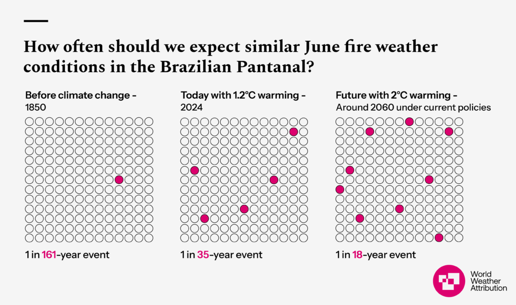 How often should we expect similar June fire weather conditions in the Brazilian Pantanal?