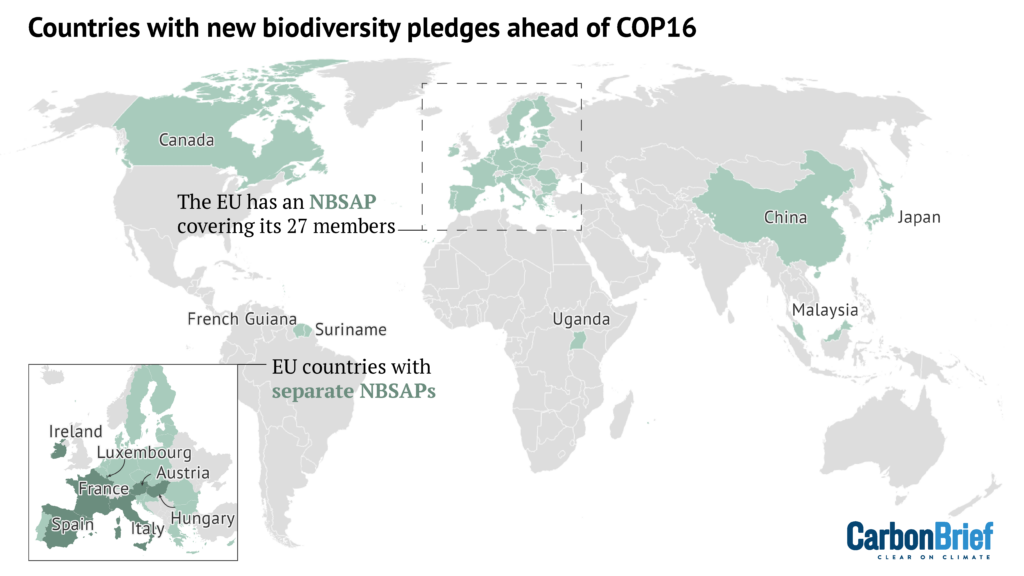 Countries that had submitted updated NBSAPs by 25 July (green). Data source: UN Convention on Biological Diversity. Map by Joe Goodman for Carbon Brief